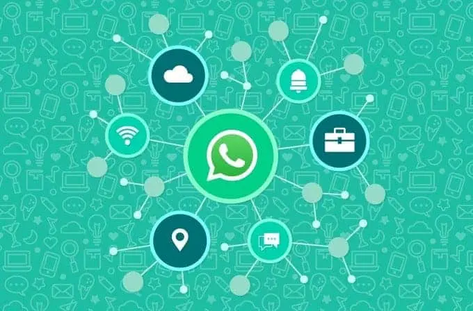 Types of Whatsapp Marketing - Netcore Cloud