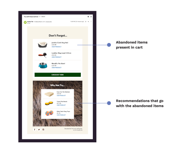 Abandoned cart trigger emails powered by Netcore