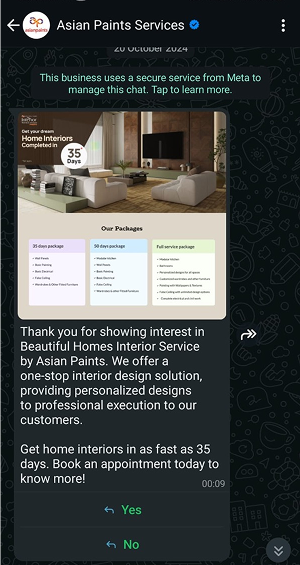 Asian Paints Services chat interface