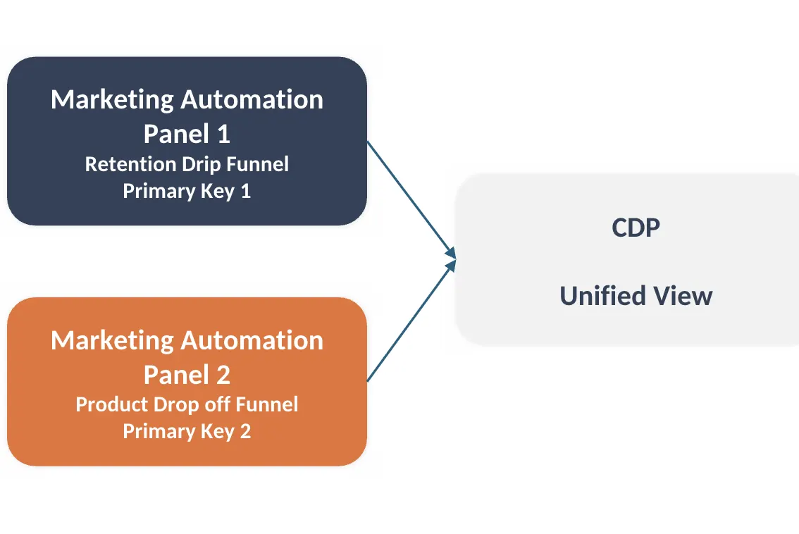 CDP Unified View
